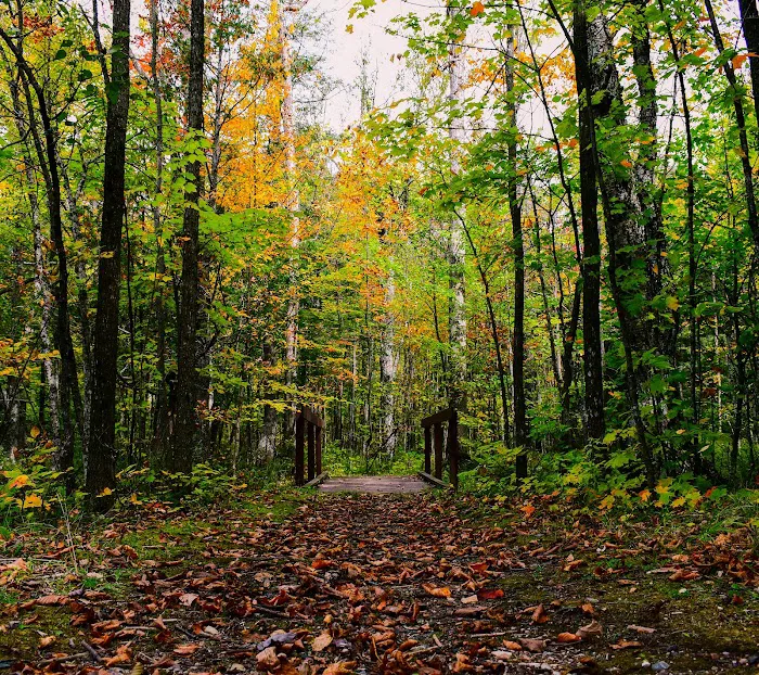 Ada Lake Campground Picture 5