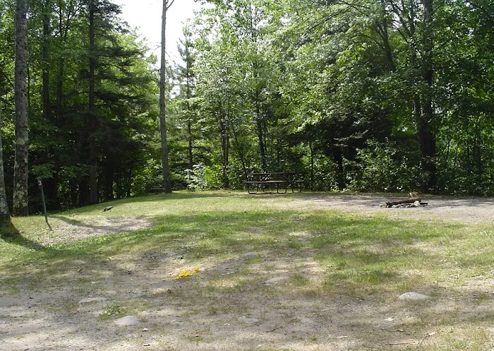 Camp New Wood County Campground Picture 2