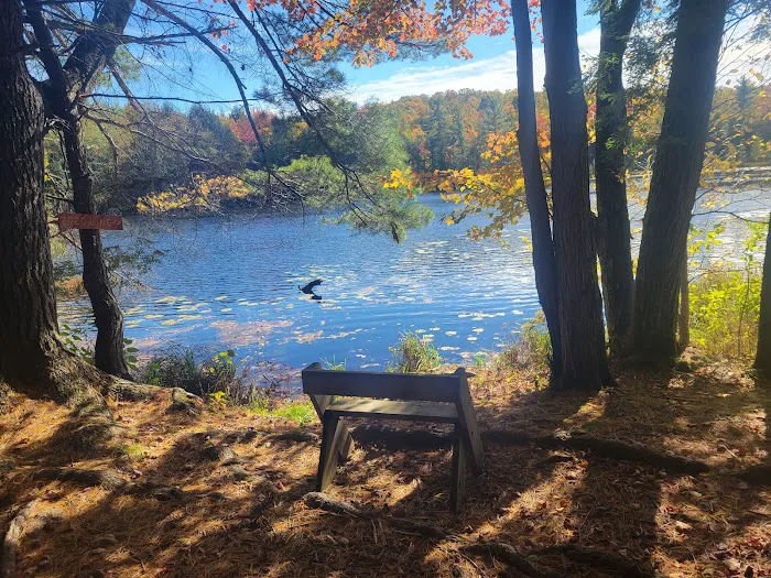 Dog Lake Shelter Picture 7