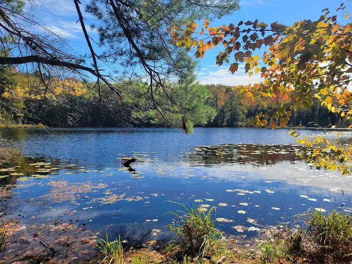 Dog Lake Shelter Picture 3