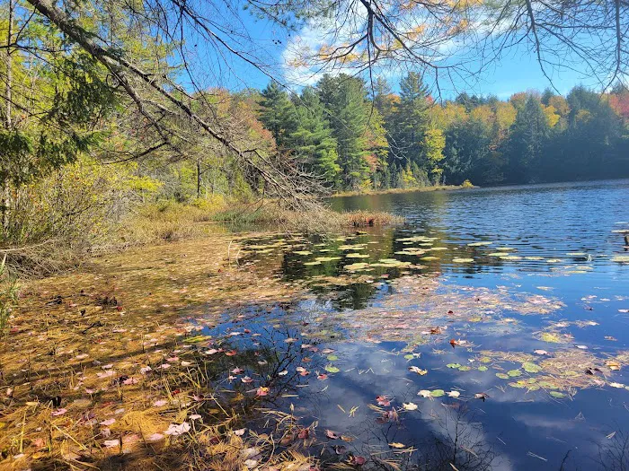 Dog Lake Shelter Picture 10