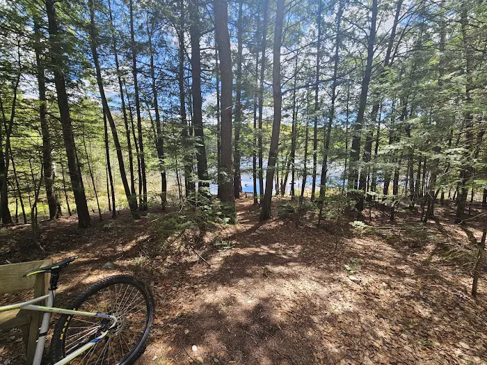 Dog Lake Shelter Picture 8