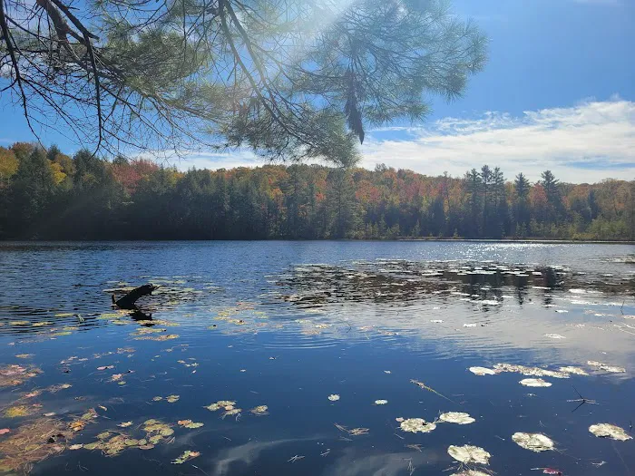 Dog Lake Shelter Picture 1