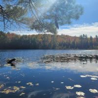 Dog Lake Shelter ico