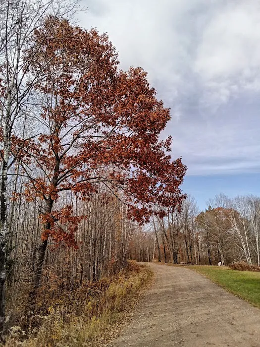 Camp 8 Camping Picture 8