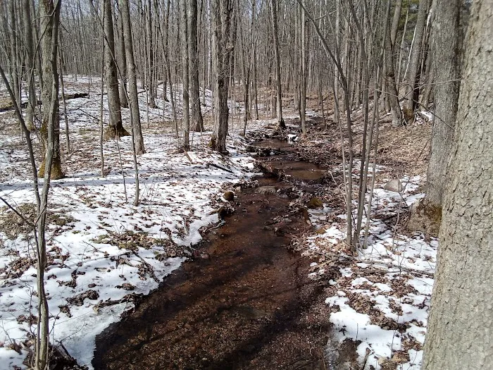 Wood Lake Campground Picture 2