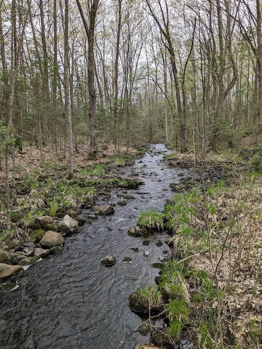 Wood Lake Campground Picture 5