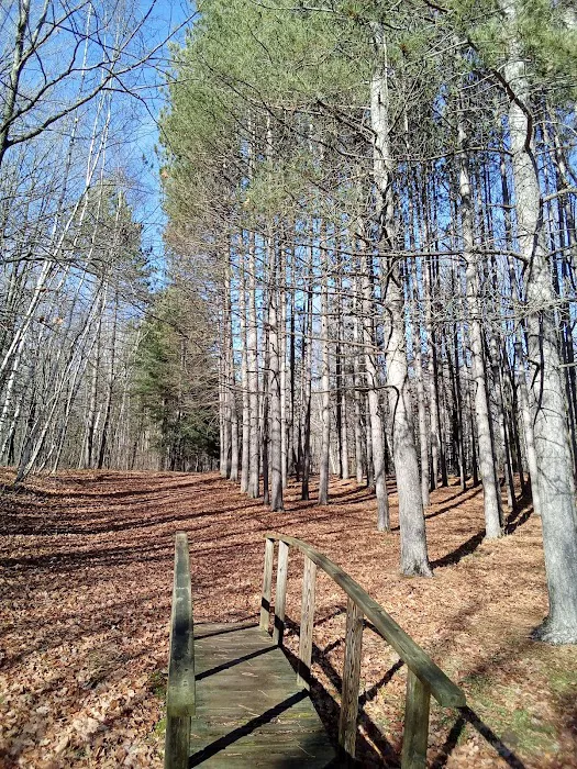 Wood Lake Campground Picture 6