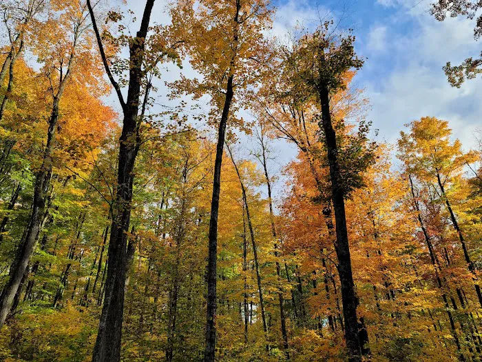 Enterprise Campground Picture 10