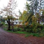 Shady Brook Campground