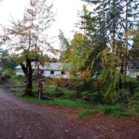 Shady Brook Campground ico