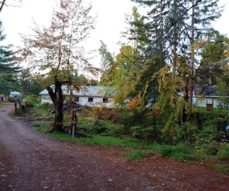 Shady Brook Campground