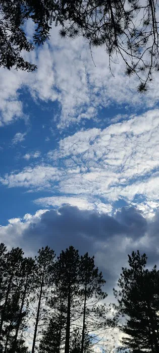 Shady Brook Campground Picture 10