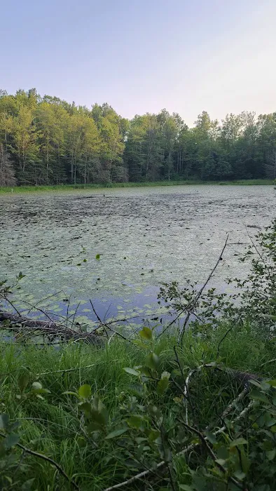 OTTER LAKE CAMPGROUND Picture 7