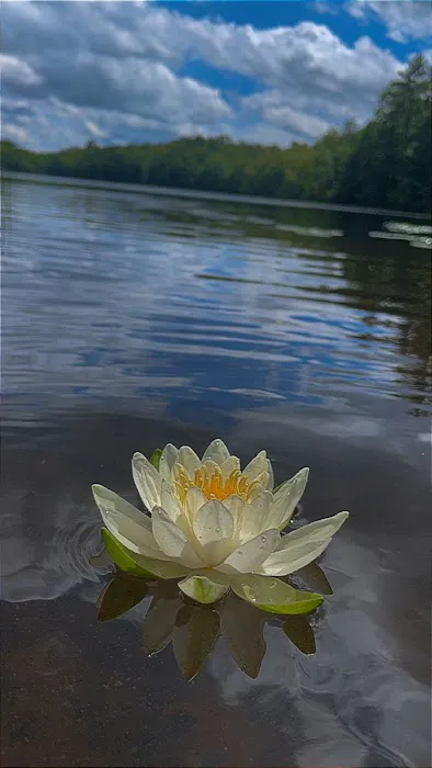 OTTER LAKE CAMPGROUND Picture 8