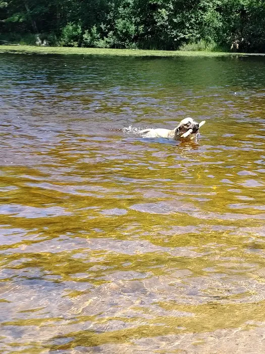 OTTER LAKE CAMPGROUND Picture 10