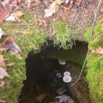 OTTER LAKE CAMPGROUND