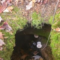 OTTER LAKE CAMPGROUND ico