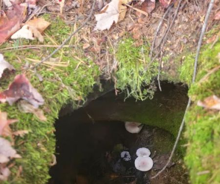 OTTER LAKE CAMPGROUND