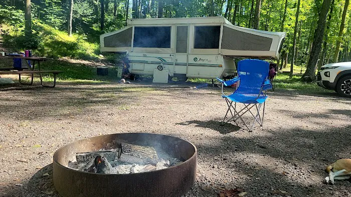 OTTER LAKE CAMPGROUND Picture 2