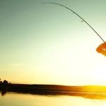 Oakridge Campgrounds