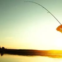 Oakridge Campgrounds ico