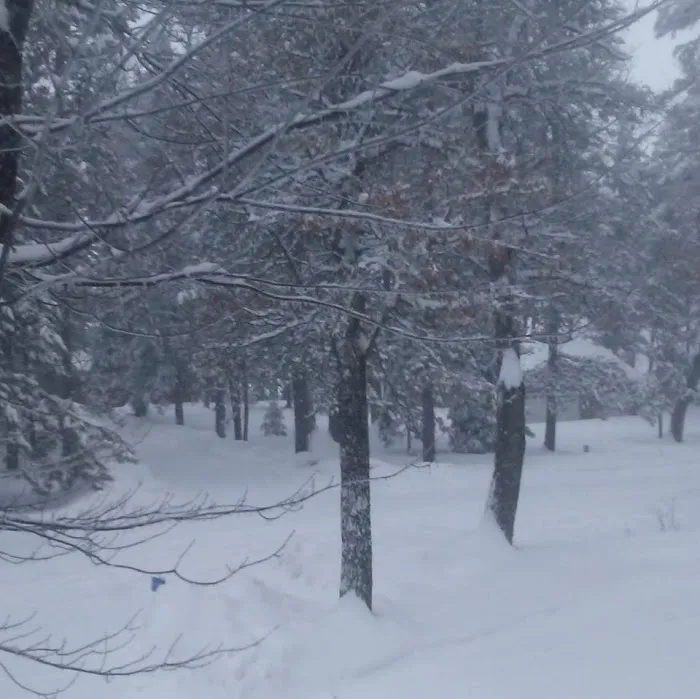 Oakridge Campgrounds Picture 8