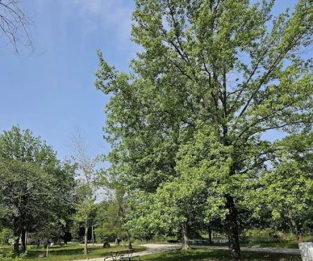 Jonesburg Gardens Campground