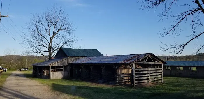 Horseshoe Holler Horse Camp Picture 4