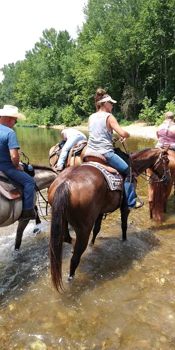 Horseshoe Holler Horse Camp Picture 1
