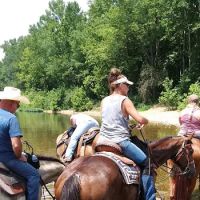 Horseshoe Holler Horse Camp ico