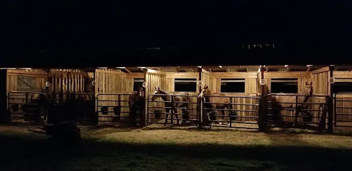 Horseshoe Holler Horse Camp Picture 8