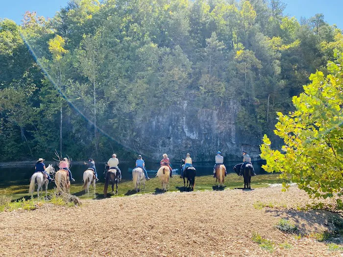 Horseshoe Holler Horse Camp Picture 5