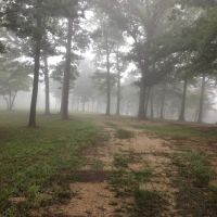 Alley Cat's Campground & RV Park ico