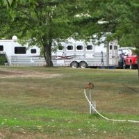 Pinecrest Campground & Cabins ico