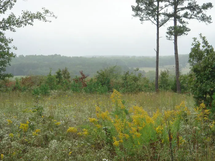 Ranches Of Montauk Park Picture 1