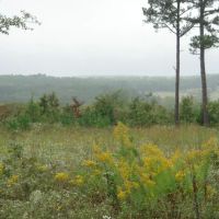 Ranches Of Montauk Park ico