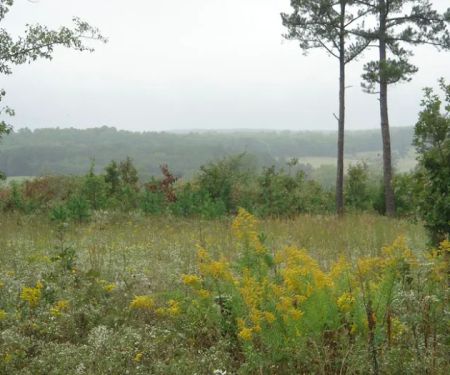 Ranches Of Montauk Park