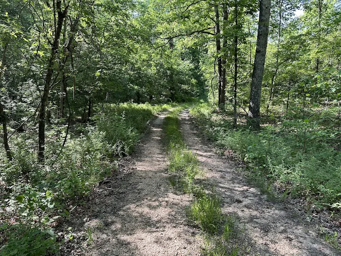 Ozark Trail Eleven Point Terminus Picture 1