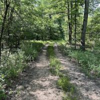 Ozark Trail Eleven Point Terminus ico
