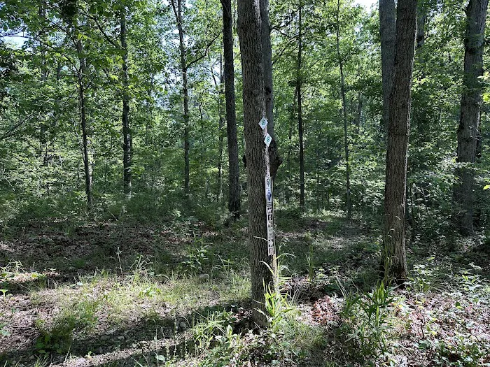Ozark Trail Eleven Point Terminus Picture 2
