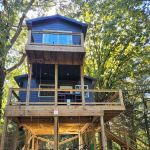 Mystic Mushroom Treehouse