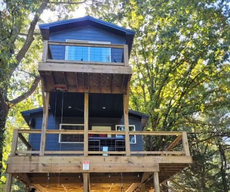 Mystic Mushroom Treehouse