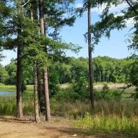 North Cypress Non-Motorized Trail ico