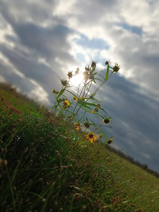 Hurricane Landing Campground Picture 8