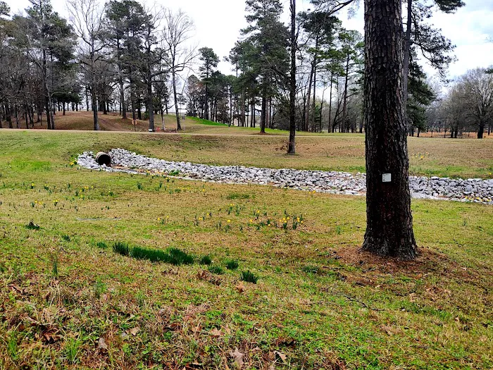 Lake Sardis Campground Picture 3