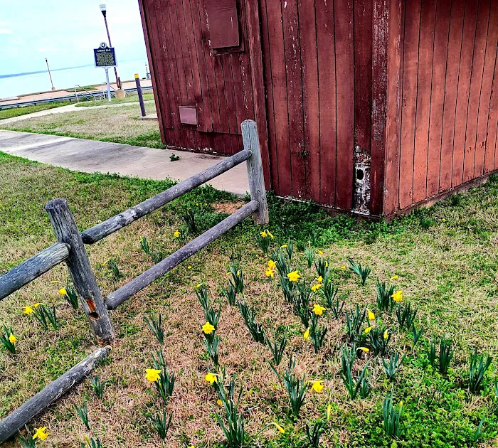 Lake Sardis Campground Picture 4