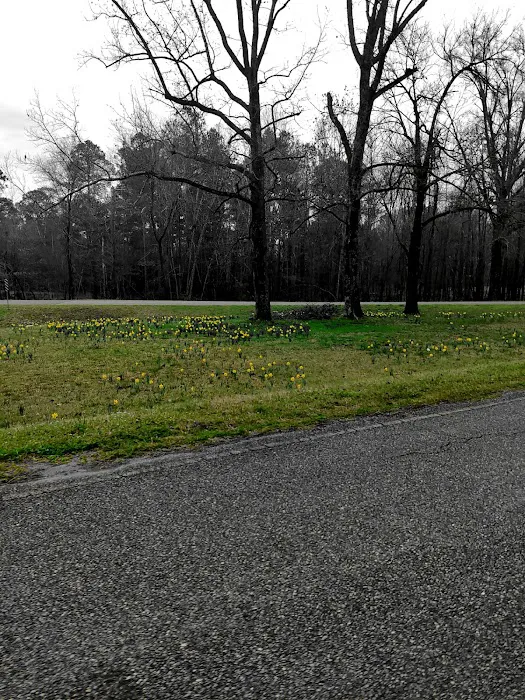 Lake Sardis Campground Picture 2