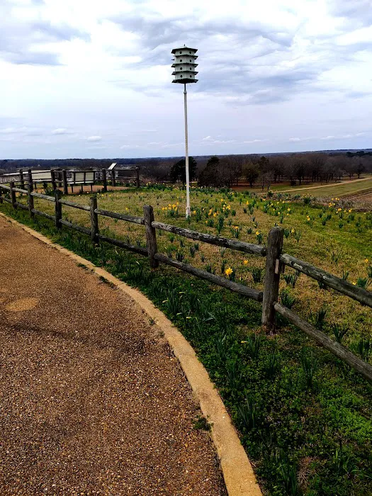Lake Sardis Campground Picture 1