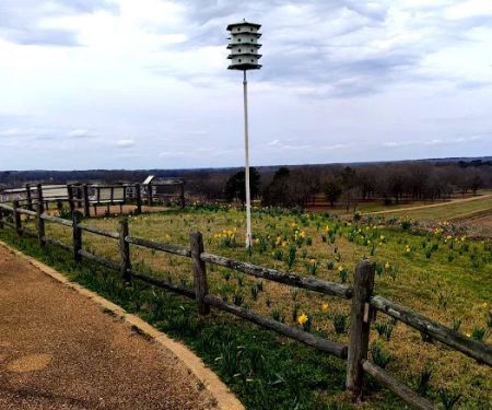 Lake Sardis Campground
